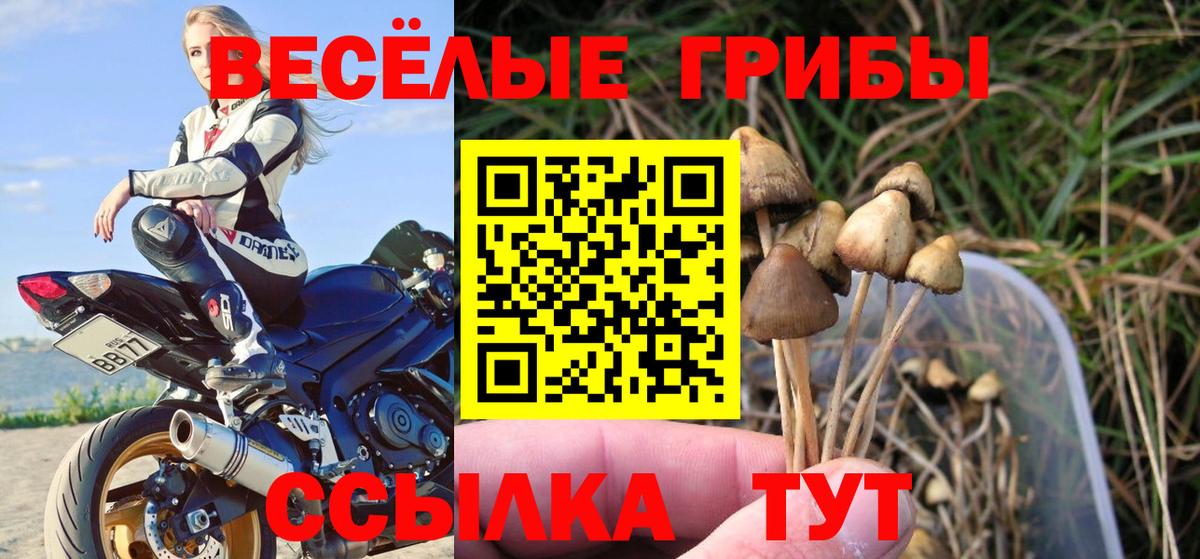 Майский  Псилоцибиновые грибы мухоморы  купить  сайты  Вход с VPN 